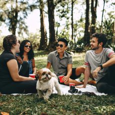 Group of younger people at a picknick