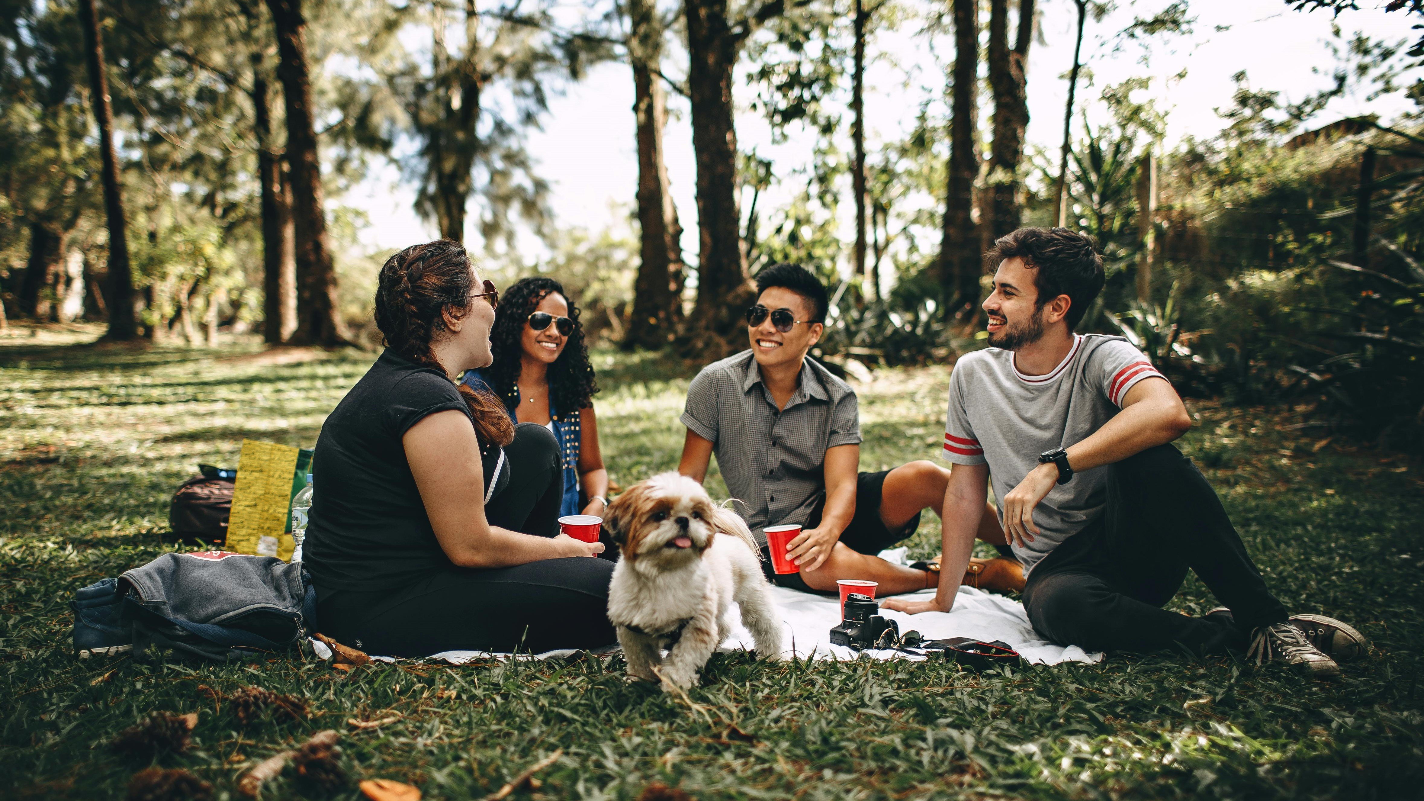 Group of younger people at a picknick