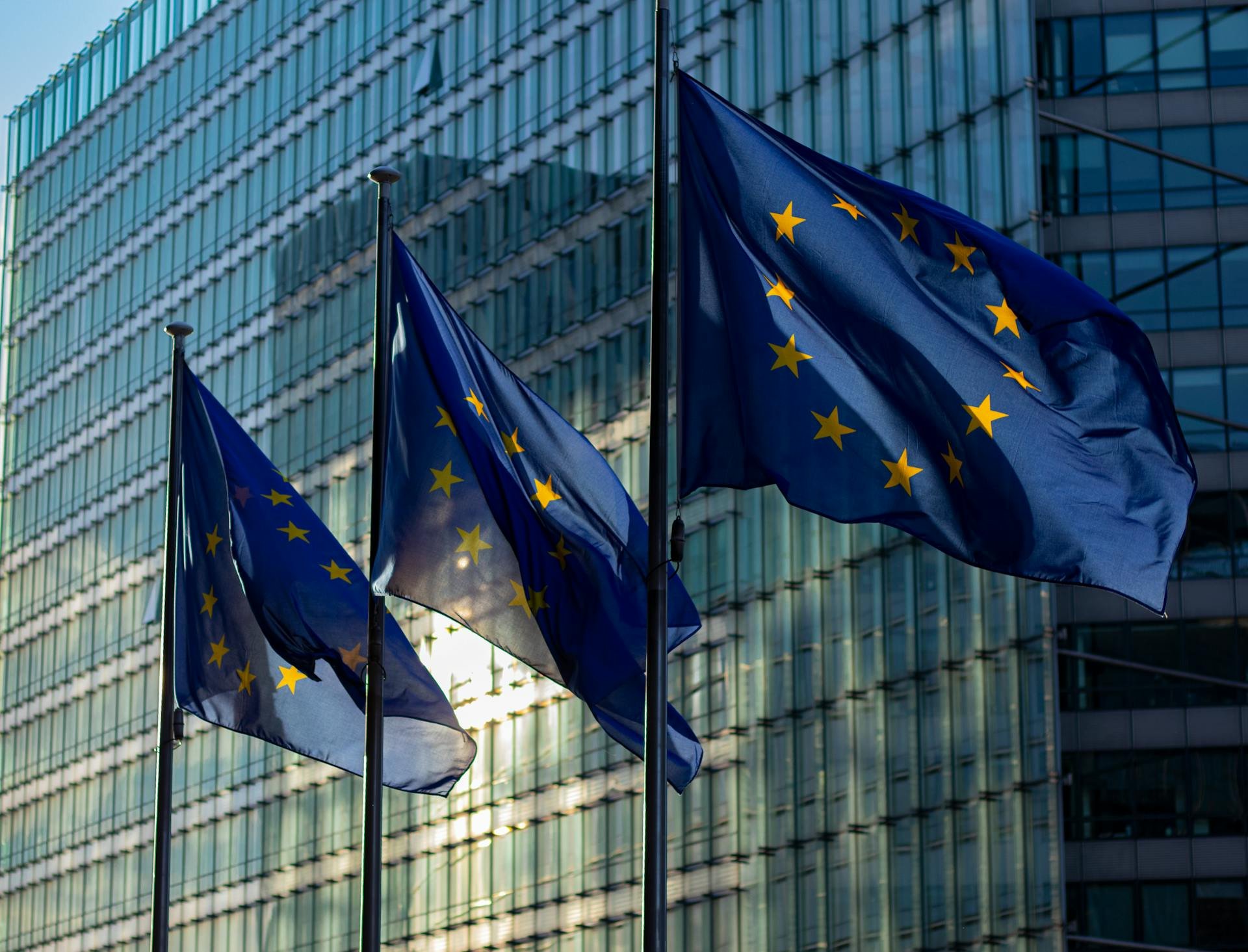 EU flags waving in front of a glass building in low sun.